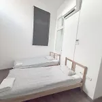 Artist Budapesta